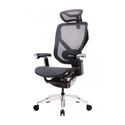 Премиум эргономичное кресло GT Chair VIDA X, черный - фото 31189