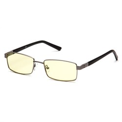 Очки для компьютера SP Glasses AF011, серебро AF011_S
