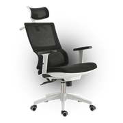 Компьютерное Игровое Офисное кресло EVOLUTION MODEL T SNOW Черный, белый
