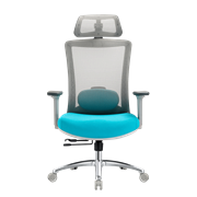 Кресло офисное EVOLUTION ERGO PRIME Sky Blue, Сетка/Ткань, Серый/Голубой