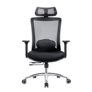 Кресло офисное EVOLUTION ERGO PRIME Black, Сетка/Ткань, Черный