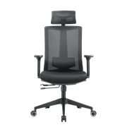 Кресло офисное EVOLUTION ERGO BLISS Black - Сетка/Ткань, Черный