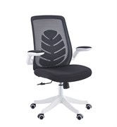 Офисное кресло Chairman CH565 белый пластик, черный