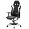 Компьютерное кресло DXRacer OH/SJ00/NW Черный, белый - фото 15774