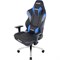 Игровое Кресло AKRacing MAX (AK-MAX-BL) black/blue - фото 17097