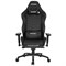 Игровое Кресло AKRacing OVERTURE (OVERTURE-BLACK) black - фото 19642