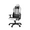 Компьютерное кресло DXRacer OH/G8000/WN белый, черный - фото 21437