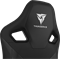 Кресло компьютерное игровое ThunderX3 XC3 All Black - фото 29817 Кресло компьютерное игровое ThunderX3 XC3 All Black - фото 29817