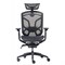 Премиум эргономичное кресло GT Chair Dvary X, чёрный - фото 31165 Премиум эргономичное кресло GT Chair Dvary X, чёрный - фото 31165
