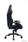Кресло Evolution Legend (черный) - фото 31493
