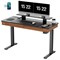 Стол для компьютера c электрической регулировкой по высоте и 2 ящиками EUREKA ERK-ED-I55-WN - фото 32299