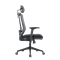 Кресло офисное EVOLUTION ERGO BLISS Black - Сетка/Ткань, Черный - фото 36801