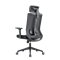 Кресло офисное EVOLUTION ERGO BLISS Black - Сетка/Ткань, Черный - фото 36803
