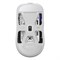 Беспроводная игровая мышь Pulsar X2 Wireless Mini White - фото 37605