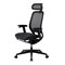 Премиум эргономичное кресло GT Chair NEOSEAT X, черный - фото 39285