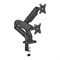Кронштейн для монитора FoxGear LDT13-C024UE Dual - фото 40473