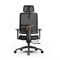 Эргономичное компьютерное кресло FoxGear NETZ модель E, черный - фото 42435 Эргономичное компьютерное кресло FoxGear NETZ модель E, черный - фото 42435