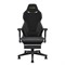 Премиум игровое кресло KARNOX CHALLENGER Dark Horse, черный - фото 42972