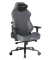 Компьютерное игровое кресло DXRacer Craft XL CRA/DXL5000/G - фото 44260