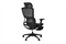 Офисное Компьютерное кресло SPARX FRS-9 Luster Black / Black NF-00001125