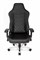 Игровое Кресло AKRacing ONYX (K901_B) black