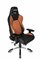Игровое Кресло AKRacing PREMIUM (AK-7001-BB) black/brown