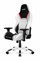 Игровое Кресло AKRacing ARCTICA (K700T_WT) white/black