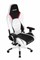 Игровое Кресло AKRacing ARCTICA (K700T_WT) white/black