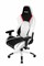 Игровое Кресло AKRacing ARCTICA (K700T_WT) white/black