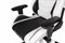 Игровое Кресло AKRacing ARCTICA (K700T_WT) white/black
