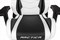 Игровое Кресло AKRacing ARCTICA (K700T_WT) white/black